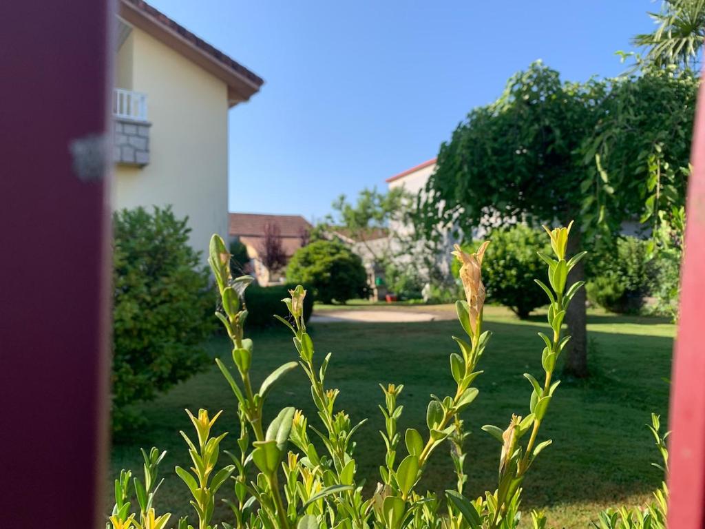 a view of a yard with a house at Lar do Pero - Ribeira Sacra in Tioira