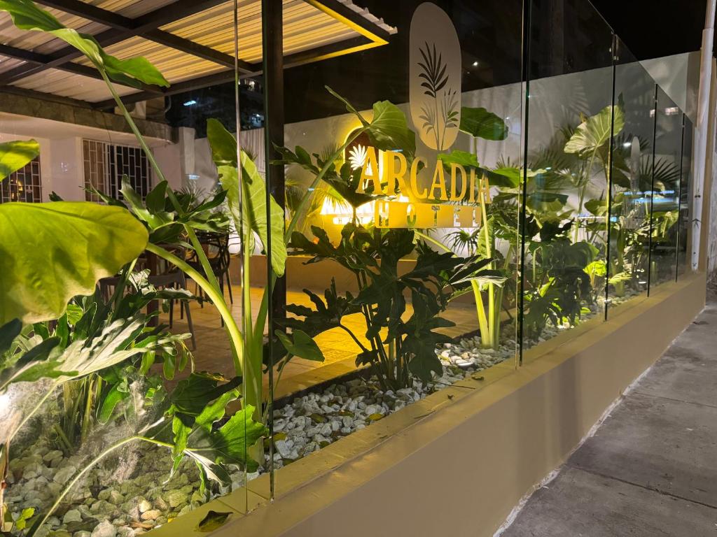a display window of a plant shop with plants at Arcadia Hotel in Cartagena de Indias