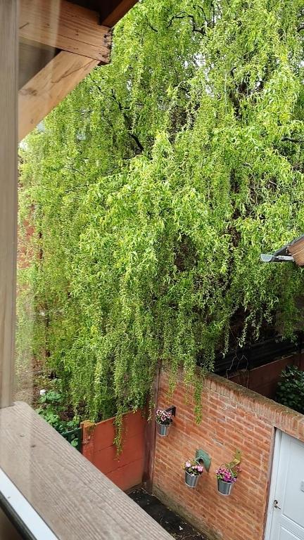 Mi Casa Tu Casa B , Departamento centrico