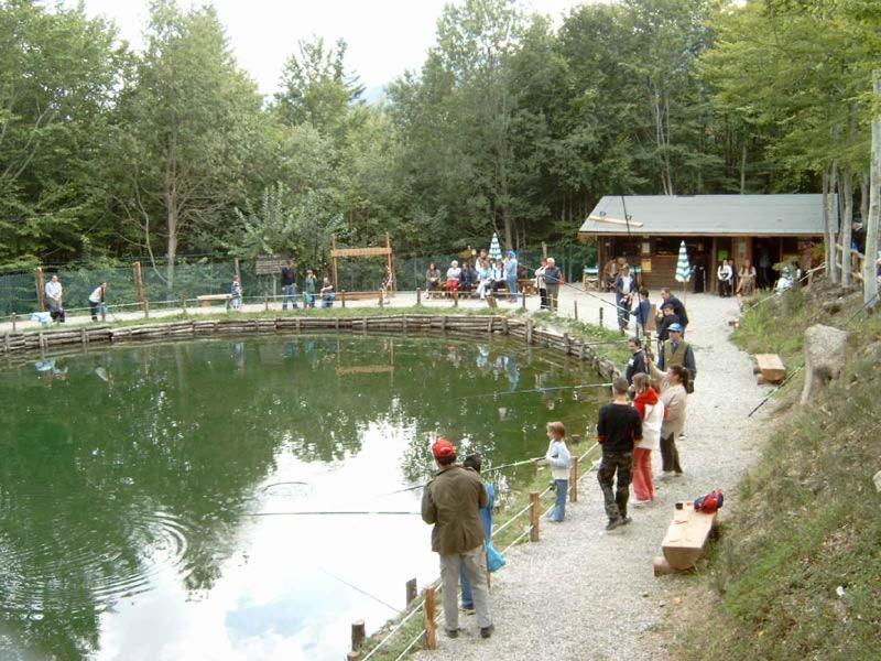 Hosté ubytování Albergo Tirolo