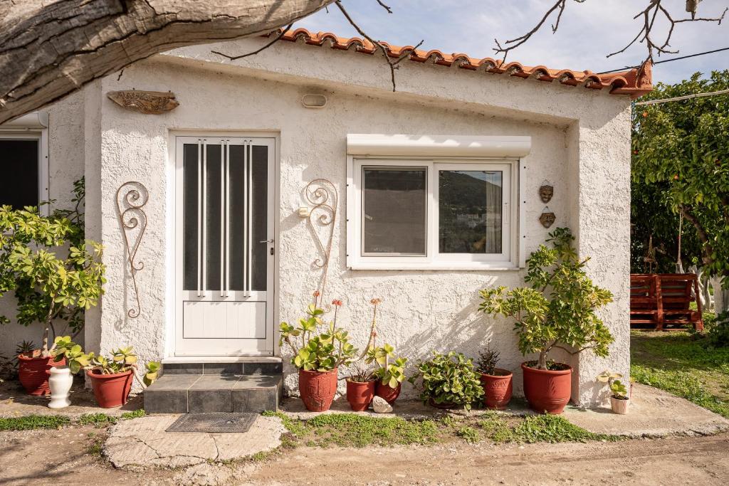 a small house with potted plants in front of it at Beautiful cottage house at Mesokampos in Samos