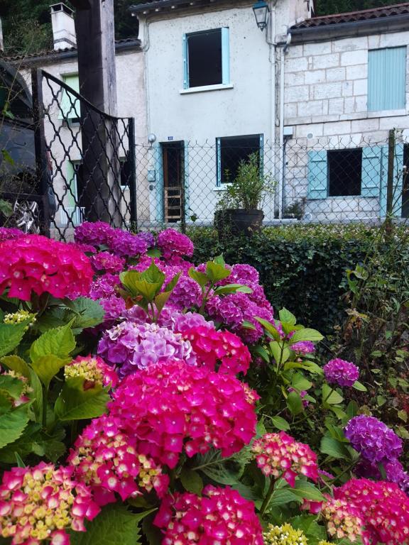 bukiet kwiatów przed budynkiem w obiekcie La Suzanne w mieście Brantôme