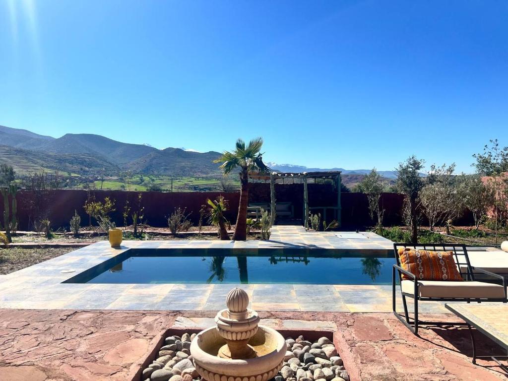 a swimming pool in a yard with a palm tree at Villa Al Firdaous in Tiznit