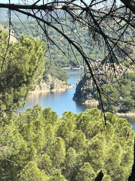 Green Harmony of Nature Apartment - Apartamento De Tres Dormitorios