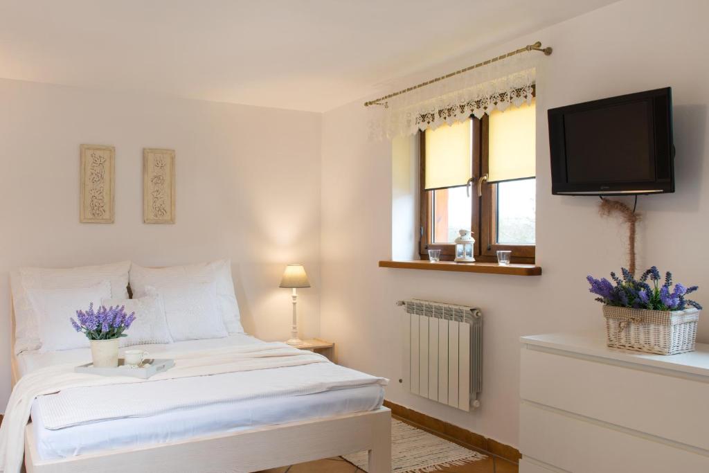 Pokoje Studia-Centrum - 6