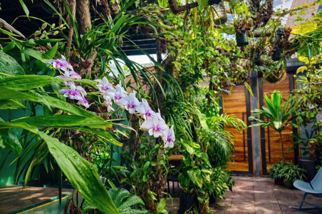 a garden with plants and flowers in a building at Kasa Nikte in Tulum
