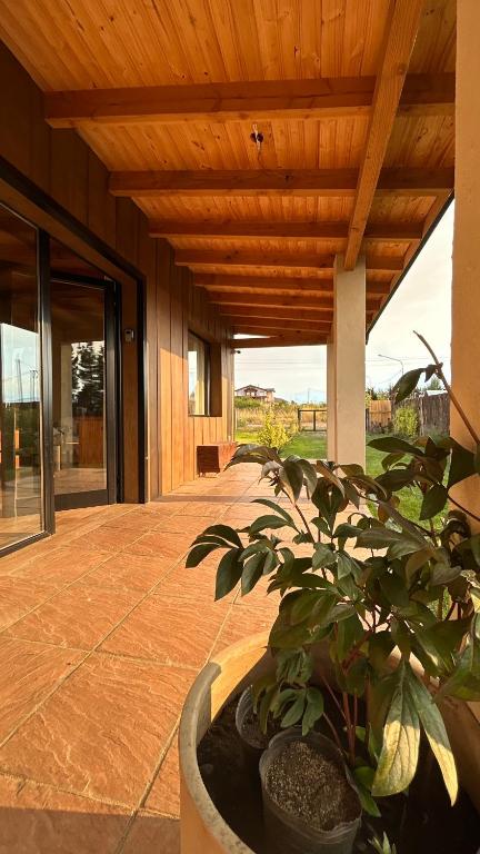 a porch with a potted plant and a wooden ceiling at Patagonia in Trevelín