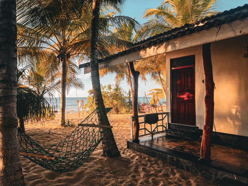 Ibisbird Beach Bungalows, Sport, Spa and Restaurant - 2