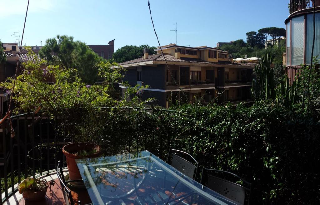 A garden outside EMI's Guest House