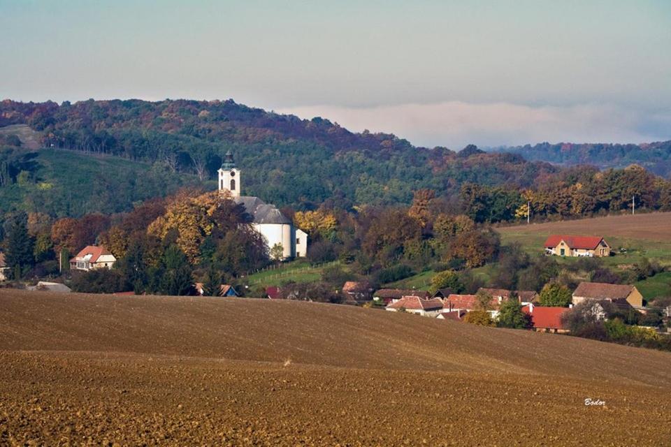 Przyroda w pobliżu tego obiektu B&B