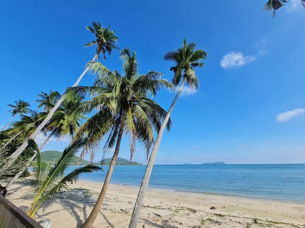 two palm trees on a beach with the ocean at Luxtalay Space Capsule in Ban Thung Makham