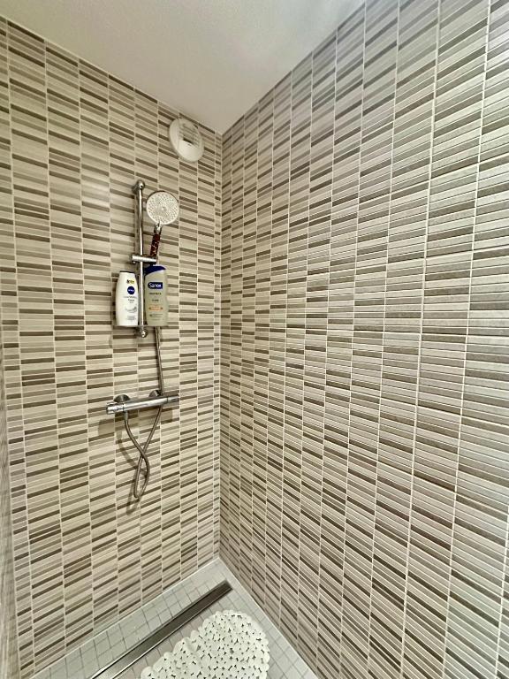 Holiday Suite City Center Airport Swiss Border Shopping mall – photo 19