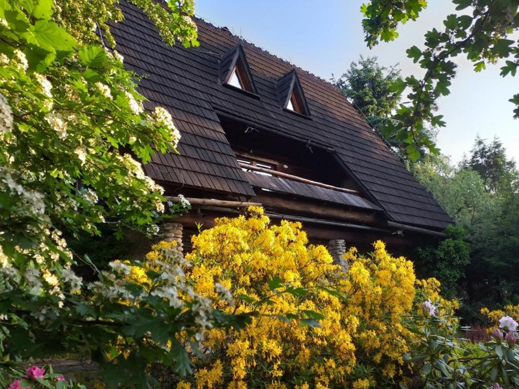 a roof of a house with trees and flowers at Dom w górach in Zawoja