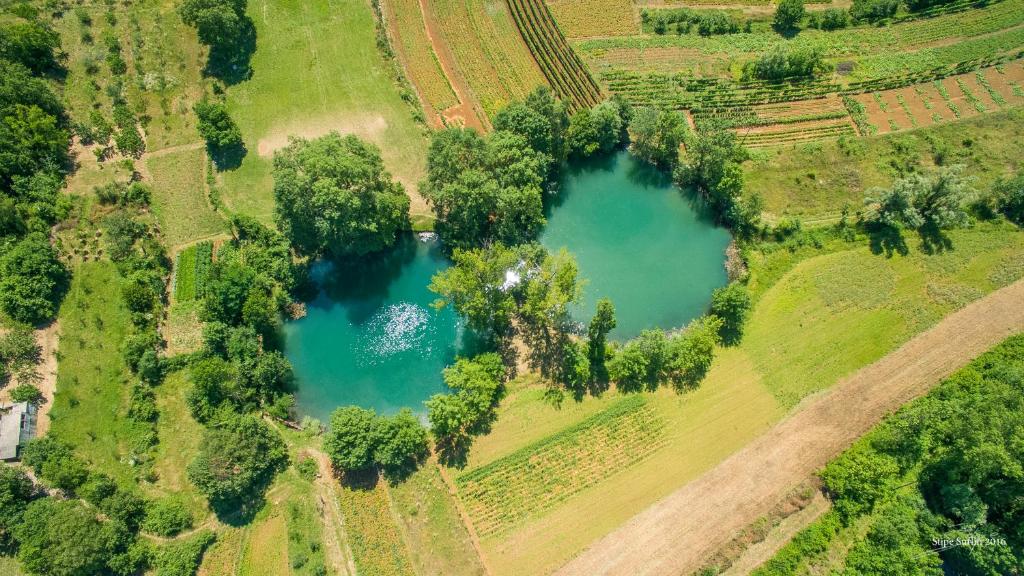 Villa Matko - family destination - Villa