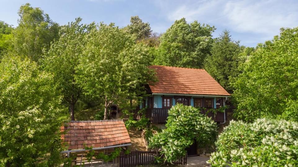 a house in the middle of the trees at Wine Hill House Trsek with Jacuzzi in Vinagora