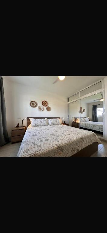 Bella Imbriana apt