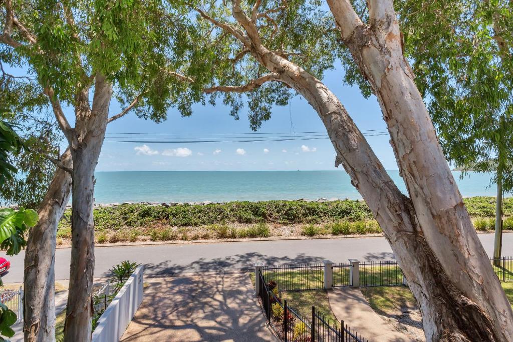 a view of the beach from a road with trees at Seascape Luxury Beachfront House in Clifton Beach