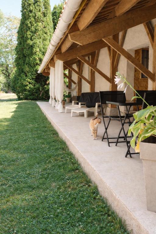 Jardí fora de Gîte climatisé avec jardin privé vue sur les vignes entre Jonzac et Cognac