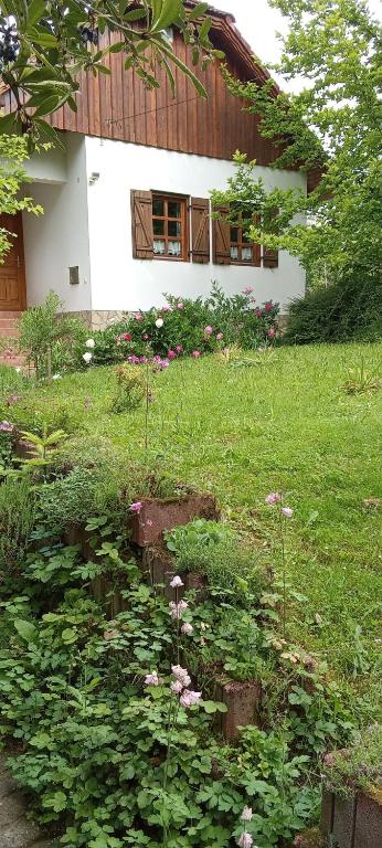 a yard with a house with a lot of plants at Budafai Vendégház in Kiscsehi