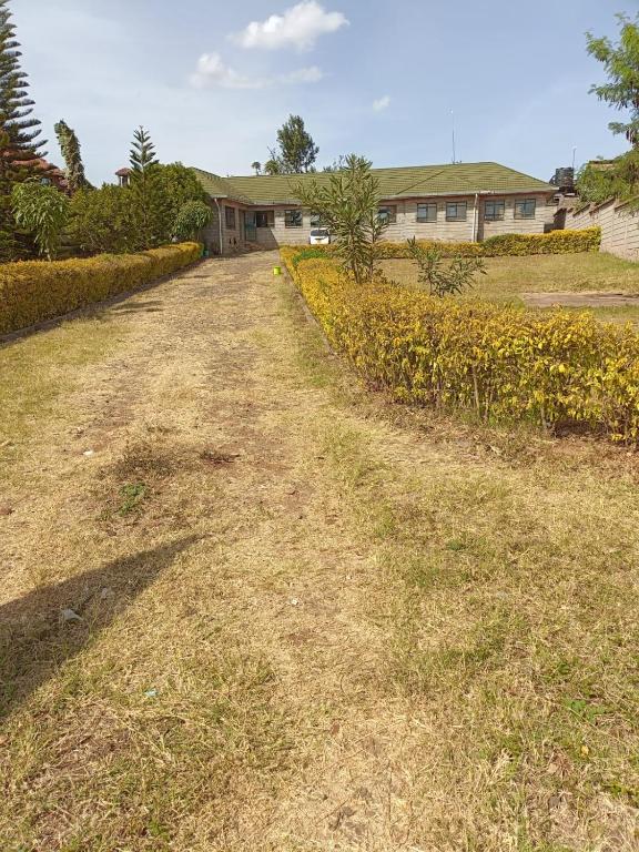 a dirt road in a yard with yellow flowers at Hacienda Villa in Juja
