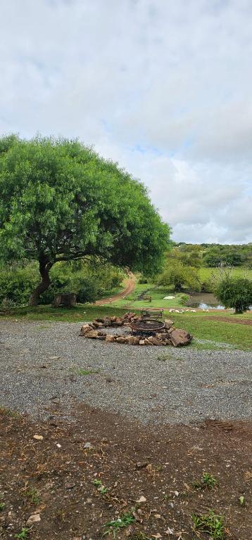 a pile of rocks and a tree on a road at Morada La Granja in Minas