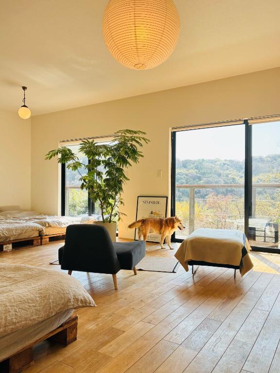 a bedroom with a dog standing in the middle of the room at HIKE Hayama愛犬と過ごす葉山のマウンテンビュー大人定員4名 in Hayama