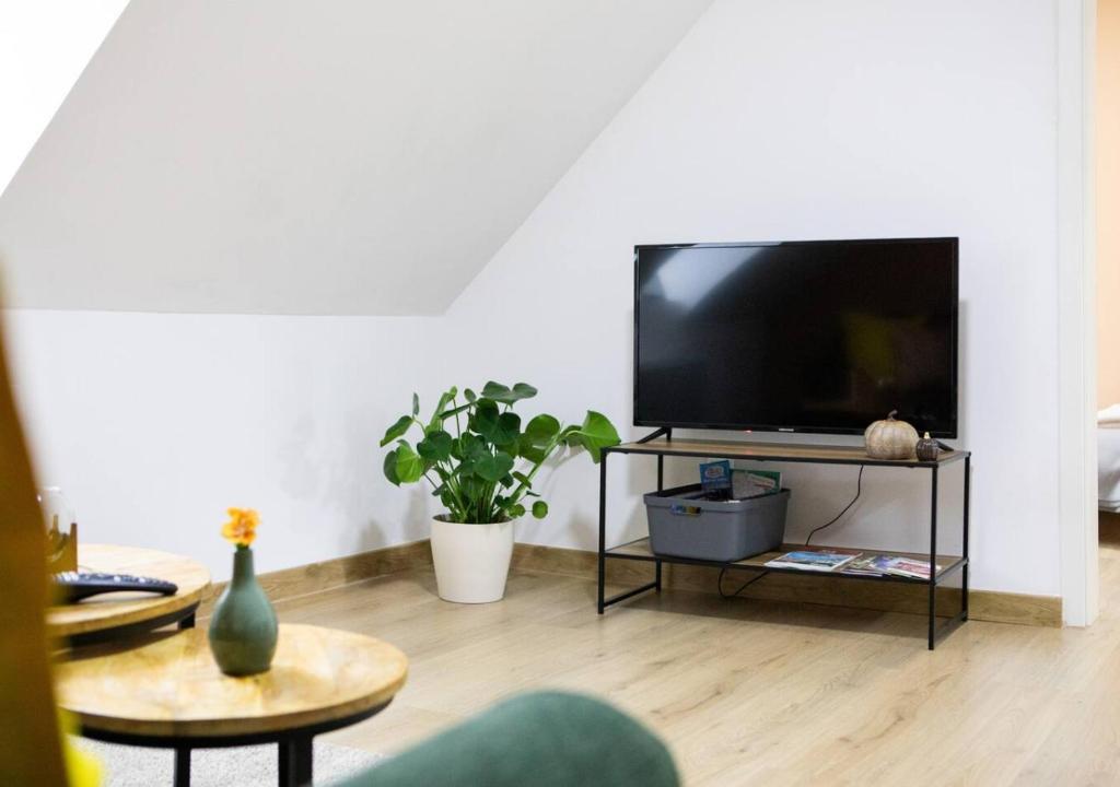 Sienna - Calme et bien-être au coeur de Mulhouse – photo 15