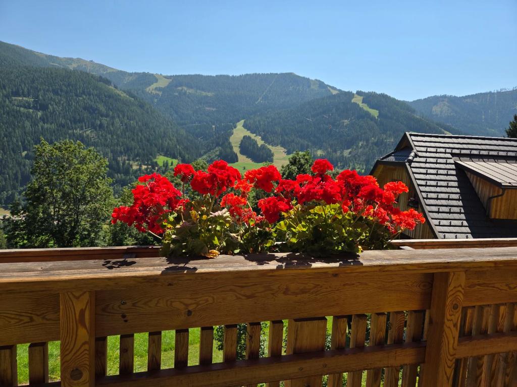 Hotel Restaurant Raunig - 11