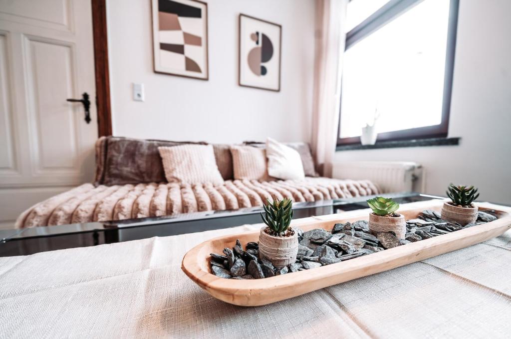 a living room with a couch and a tray of rocks at Ferienwohnung Elb-Aue in Burg bei Magdeburg
