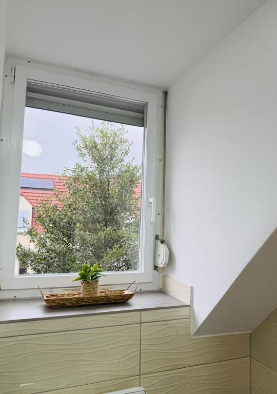 Sienna - Calme et bien-être au coeur de Mulhouse – photo 26
