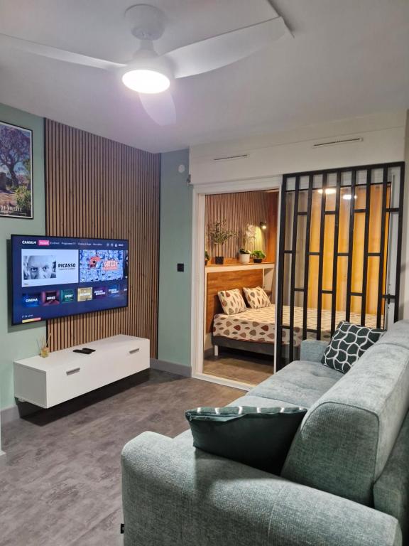 a living room with a couch and a tv at L'écrin des hauts in Saint-Denis