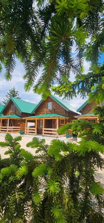 a large wooden house with a green roof at Green Top Durmitor in Žabljak