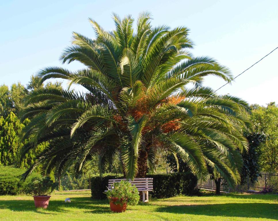 Zahrada ubytování Il Roseto di Daniela