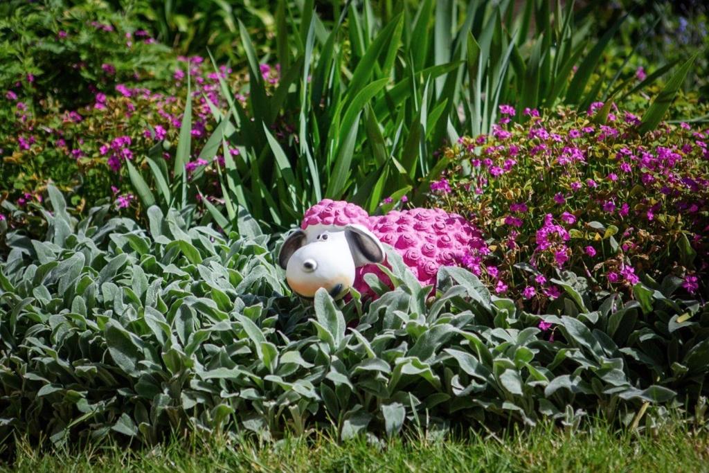 a stuffed animal sitting in the middle of flowers at Gite la Provençale in Albi