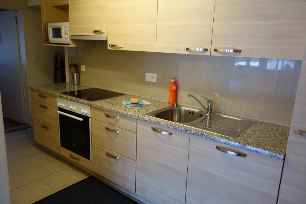 Kuchyň nebo kuchyňský kout v ubytování Royal Swiss Apartments
