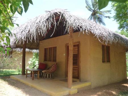 Mangrove Beach Cabana - 18