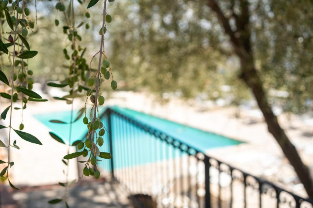 a fence in front of a swimming pool at Villa Roba degli Ulivi in Agrigento