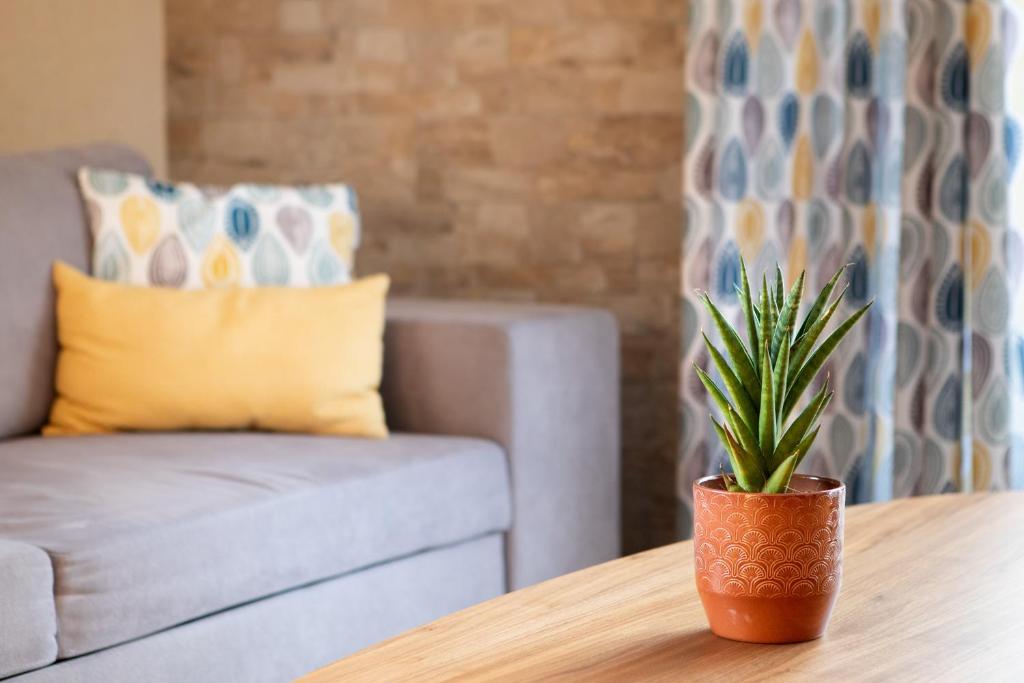 Appartement climatisé, 4 suites parentales et grande terrasse – photo 36