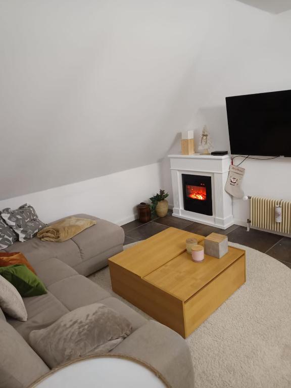 a living room with a couch and a fireplace at Manjana`s Waldblick in Braunlage