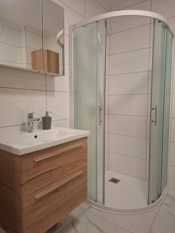 a bathroom with a sink and a shower at Cosy central apartment in Litija