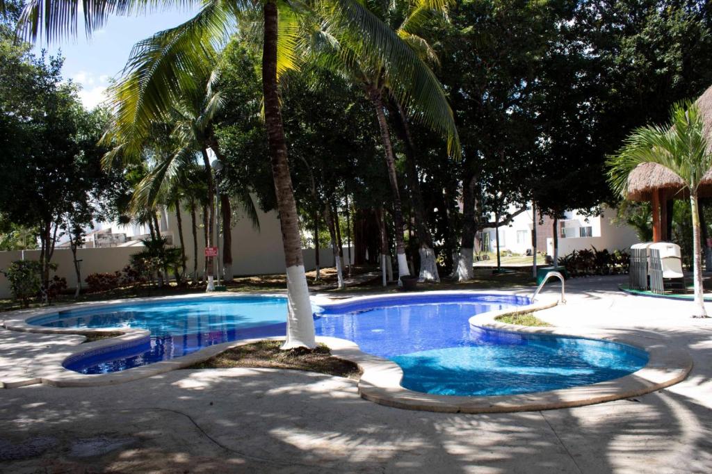 a swimming pool with a palm tree in the middle at Casa Atardecer - Privada Los Olivos in Playa del Carmen