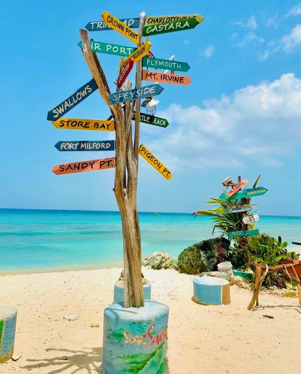 Paisatge natural a prop de la casa o xalet