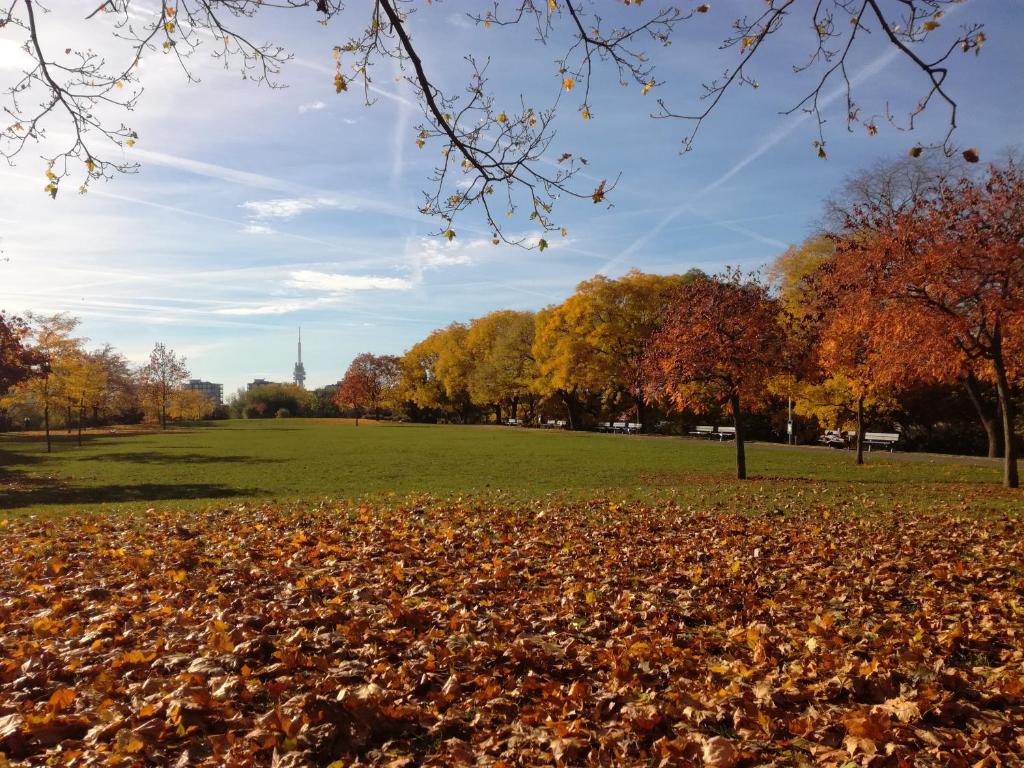 University Hotel - Resim 11