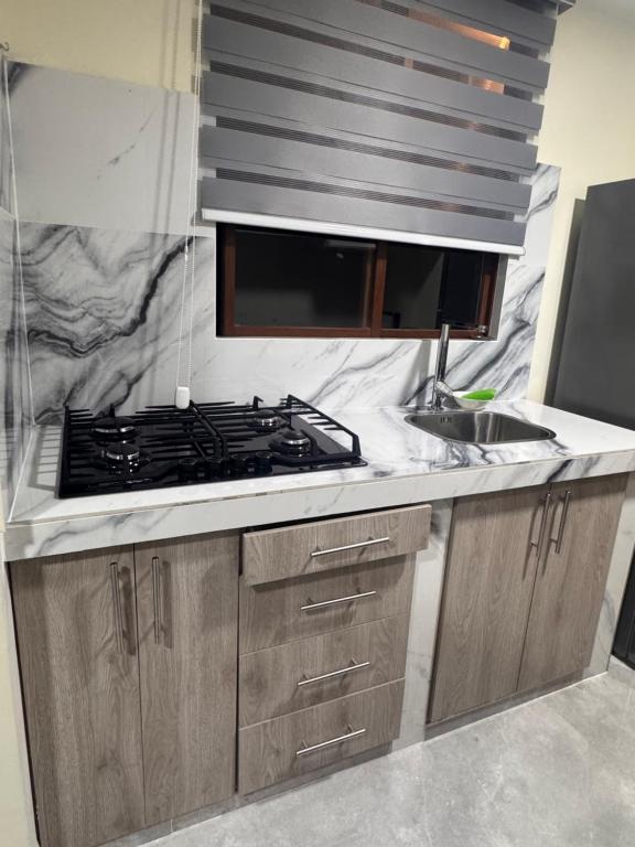 a kitchen with a stove and a sink at Suite ejecutiva con Parqueo Privado in Latacunga