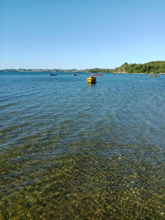 a large body of water with boats in it at Cabaña El ulmo in Quelalmahue