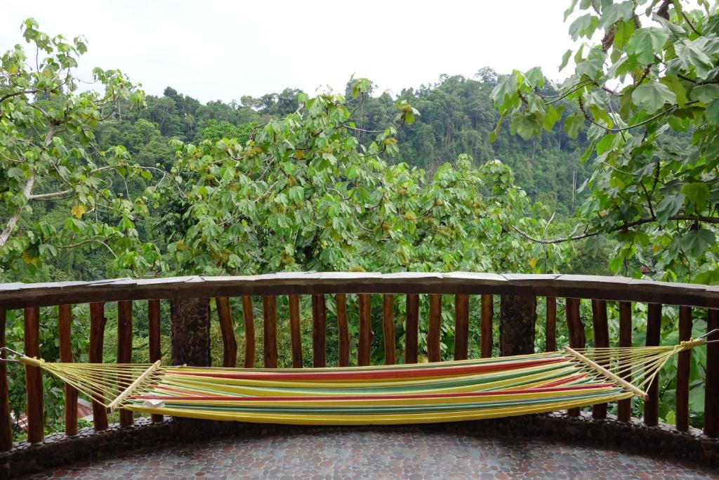 Zahrada ubytování Hotel Orangutan