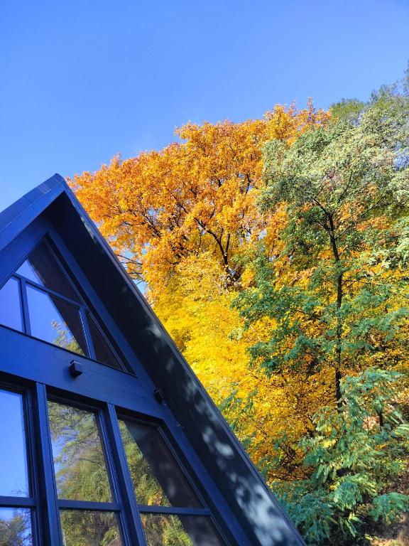 Das Dach eines Hauses, im Hintergrund Bäume. in der Unterkunft Mura Doftana in Seciuri