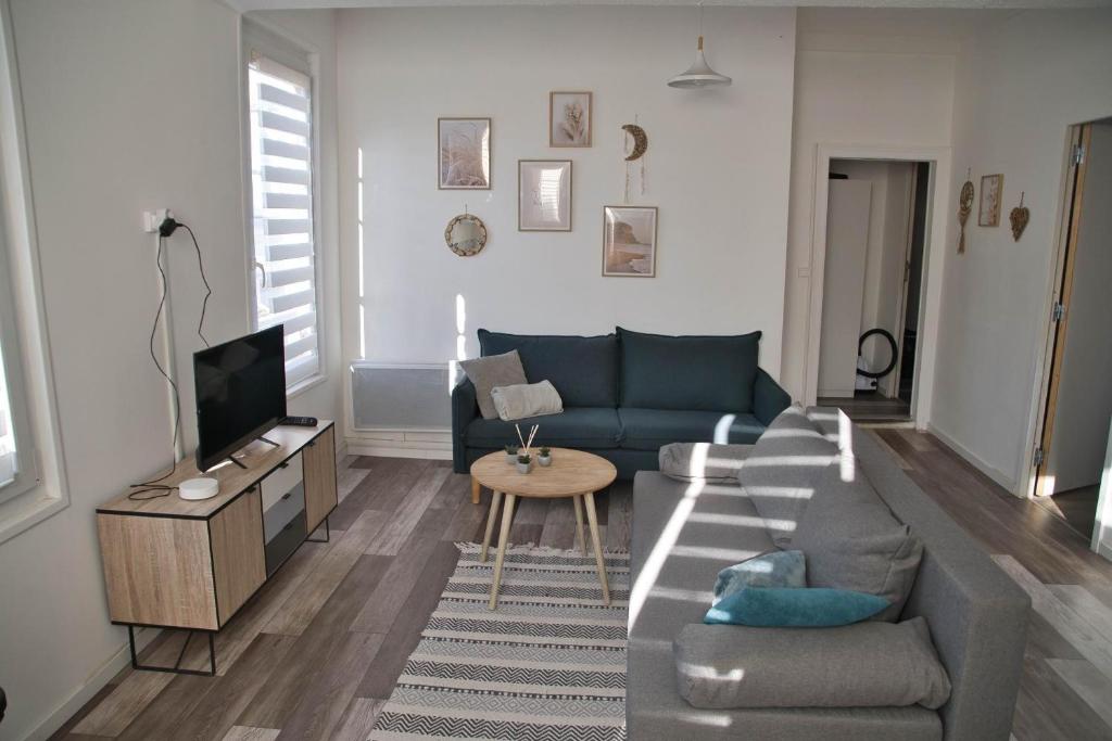 a living room with a couch and a tv at Cocoon Spacieux Centre Joigny Z2 in Joigny