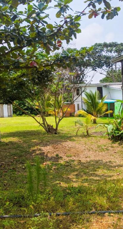 Villa 1200m2 de jardin 