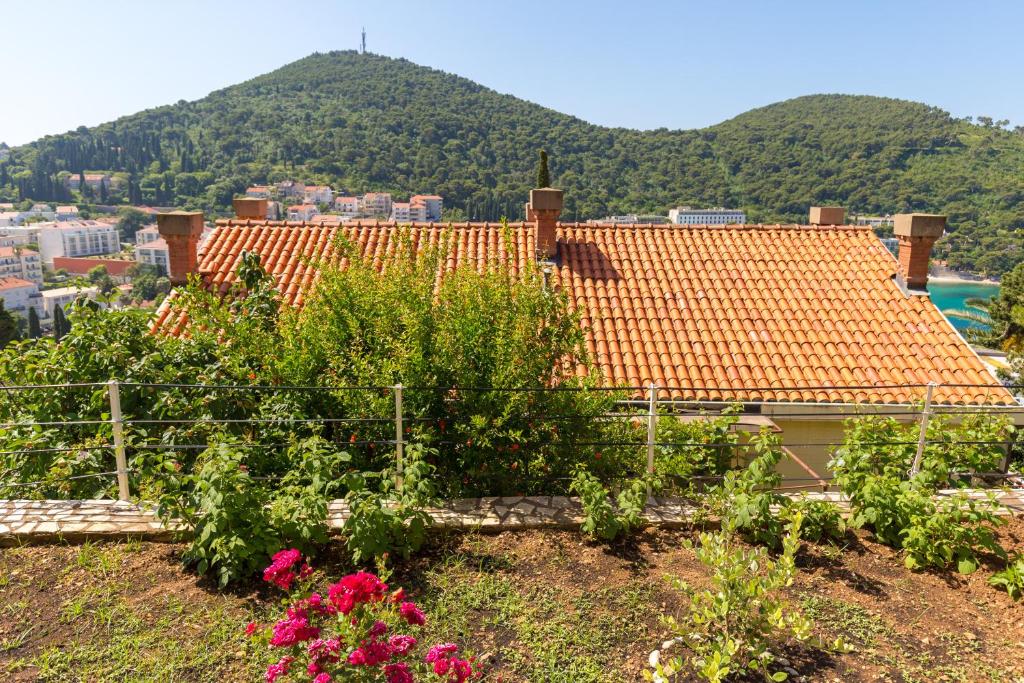 Apartments Mandy - 14